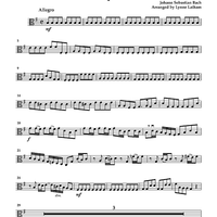 Brandenburg Concerto No. 6 - Viola