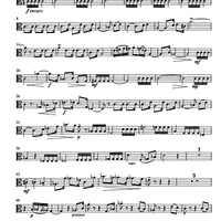 Jubilee Concerto for Celeia - Viola