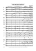 The Blue Hornets - Score