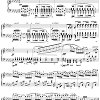 Polonaise No. 2 in E-flat Minor, Op. 26, No. 2 ("Les favorites 2")