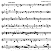 String Quintet c minor Op.104 - Violin 1