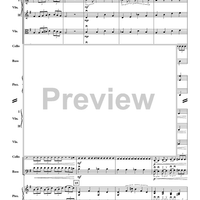 Zydeco Zephyr - Score