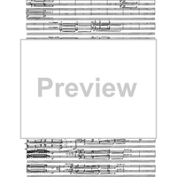 Birds In Light - Full Score