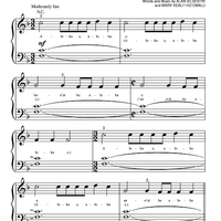 Hawaiian Roller Coaster Ride