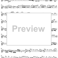 Sonata No. 1 in D major - Flute