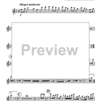 Polka Fantastic - Flutes