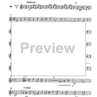 Serenata - Accordion 3