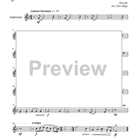 Nessun Dorma - Euphonium