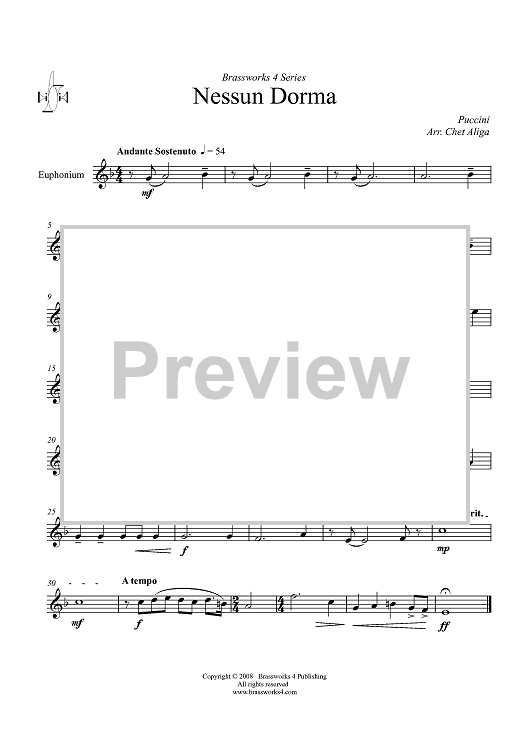 Nessun Dorma - Euphonium