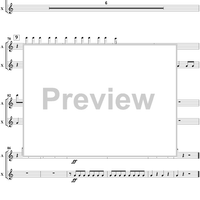 Le carnaval des animaux - Percussion