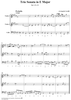 Trio Sonata in E major, op. 2, no. 10
