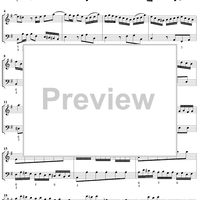 Flute Sonata no. 5 in E Minor (BWV1034)