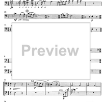 Am Wege zum Licht - Double Bass