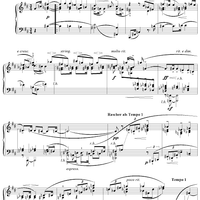 Piano Sonata in B Minor, Op. 1