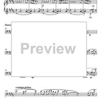 Girl on a Beach Under a Sunshade