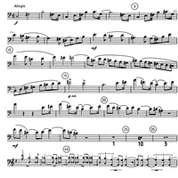 Sonata for Bassoon and Piano - Bassoon