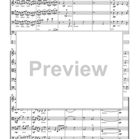Water Critters - A Suite for String Orchestra and Optional Percussion - Score