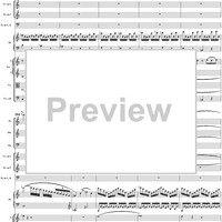 Piano Concerto No. 21 in C Major ("Elvira Madigan"), Movement 1 (K467) - Full Score