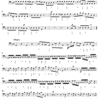 Concerto in G Minor    - from "L'Estro Armonico" - Op. 3/2  (RV578) - Bass