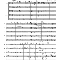 Radetzky Marsch - Score