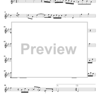 Sonata in G minor for Flute and Harpsichord  Op. 91, No. 2