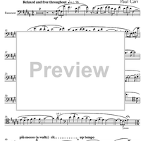 Girl on a Beach Under a Sunshade