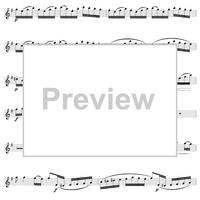 Flute Concerto in G Major, Allegro - Flute