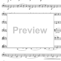 String Quintet c minor Op.104 - Cello