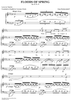 Twelve Songs, Op. 14, No. 11: Floods of Spring