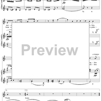 Der Sandmann, No. 12, Op. 79