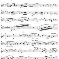 Oboe Sonata, Op. 166 - Oboe