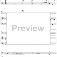 A Horse Of A Different Color