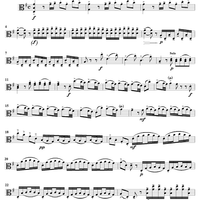 Viola d'Amore Concerto in G Major - Viola