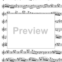 Sonata No. 9 C Major KV14 - Flute