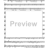 Circuite Suicus - Trumpet 6