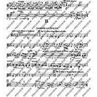 2. Concerto in C - Viola