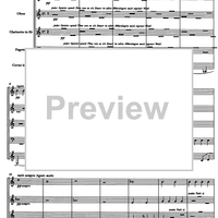 Divertimento Op.69 - Score