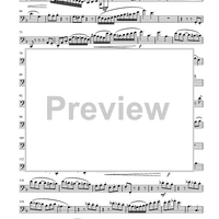 Rondo Divertimento - Euphonium BC