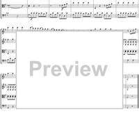 Eine kleine Nachtmusik - Score