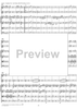 Symphony No. 11 in D Major, K84 - Full Score