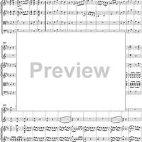 Symphony No. 11 in D Major, K84 - Full Score