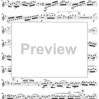 Clarinet Concerto No. 1 in F Minor, Op. 73 - Clarinet