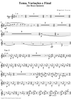 Tema, Variacoes e Final - Horn