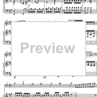 Concerto D Major - Score