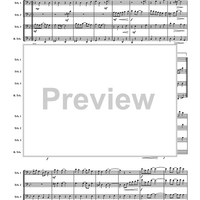 Magnetic Rag - Score