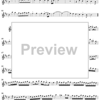 Sonata in B Minor, Op. 3, No. 7 - Flute 1
