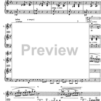 Il dolce suono mi colpi di sua voce! from Lucia di Lammermoor