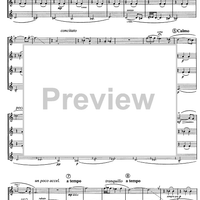 Divertimento preistorico - Score