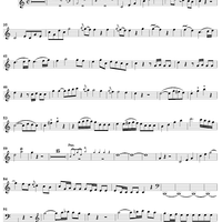 Horn Concerto No. 1 - Horn