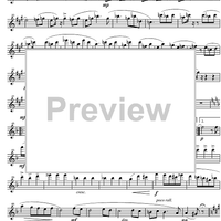 Quintet Op.43 - Flute